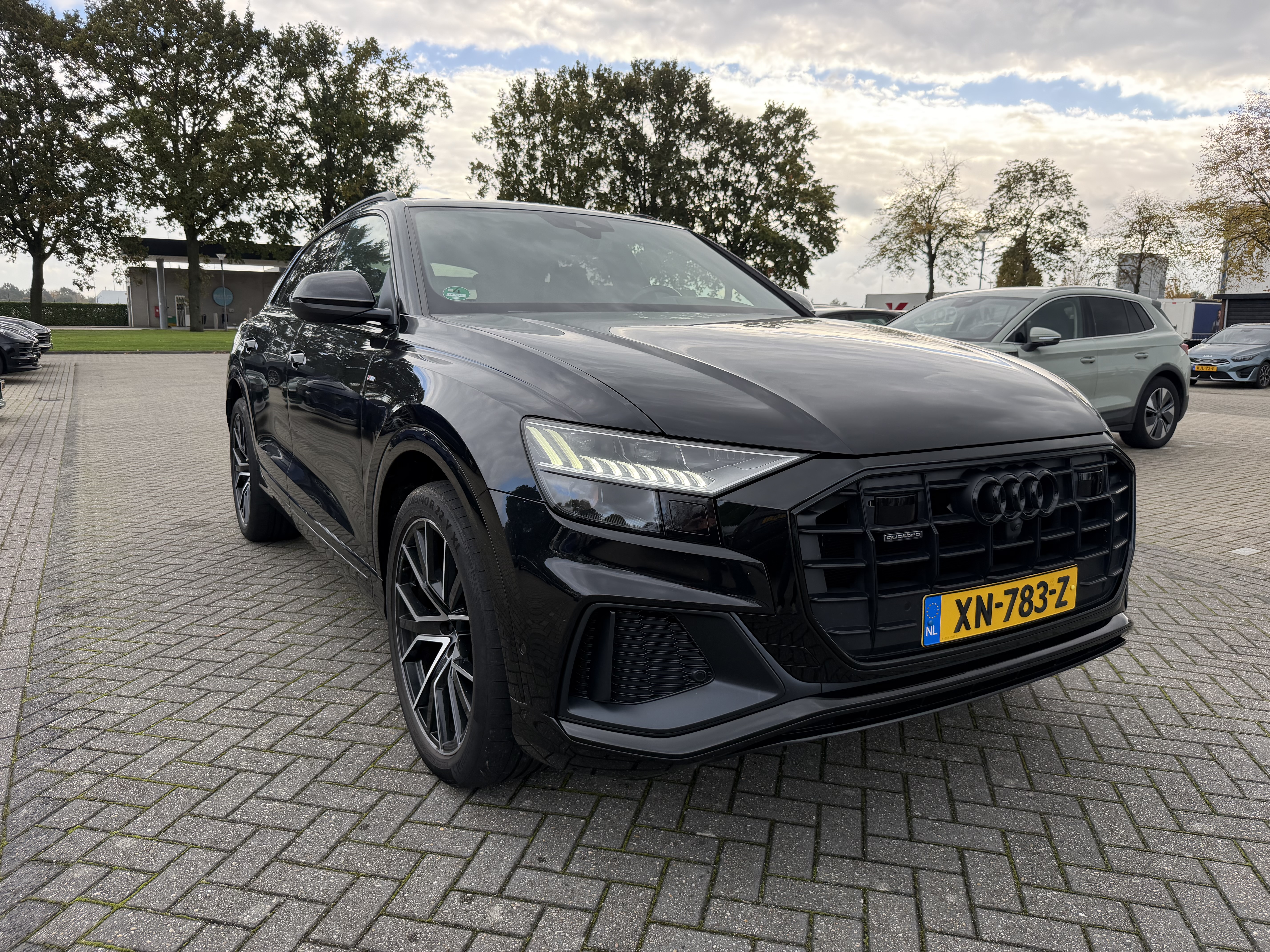 Audi Q8 50 TDI Pro Line S