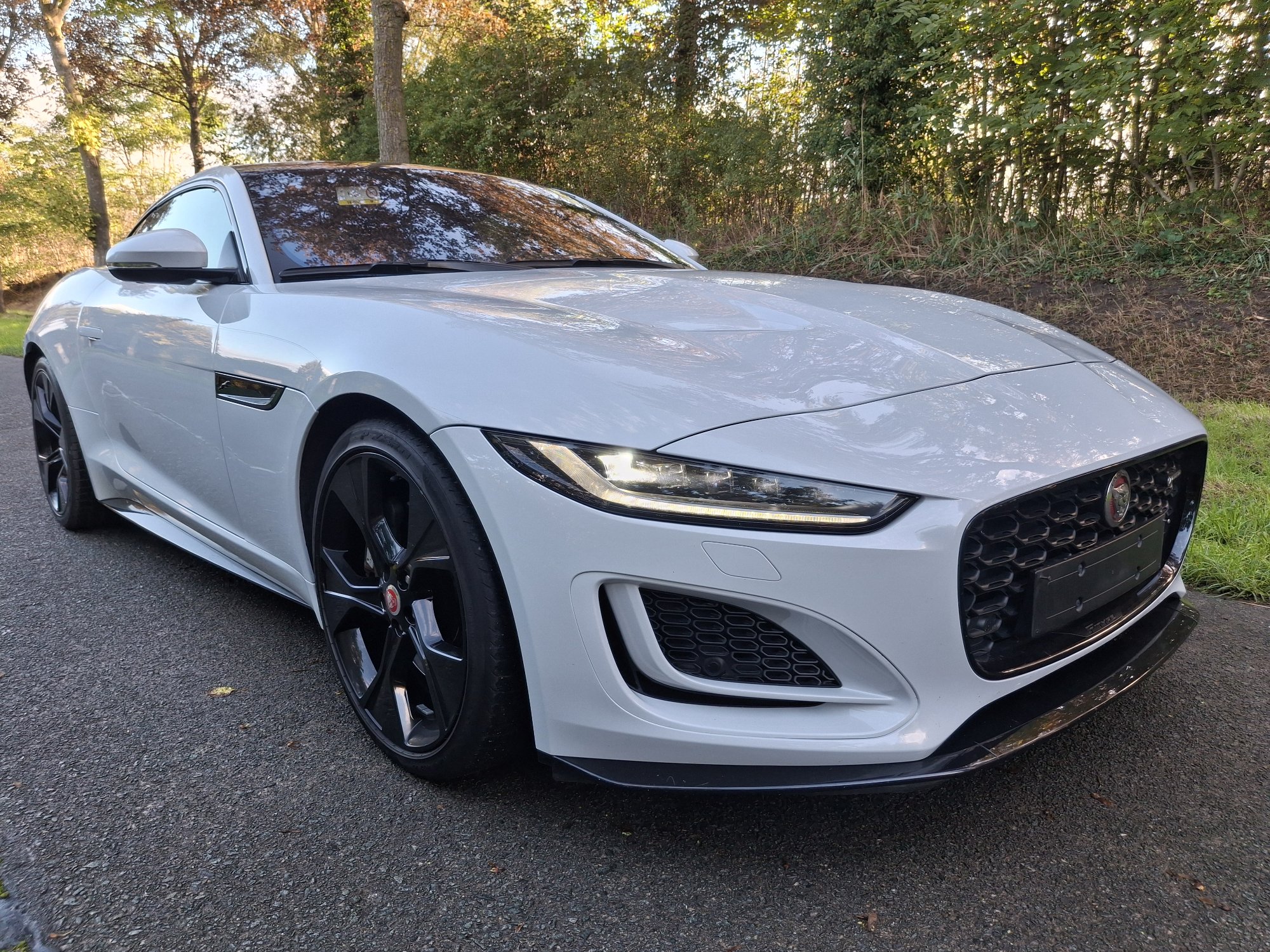 Jaguar F-Type 2.0 R-Dynamic