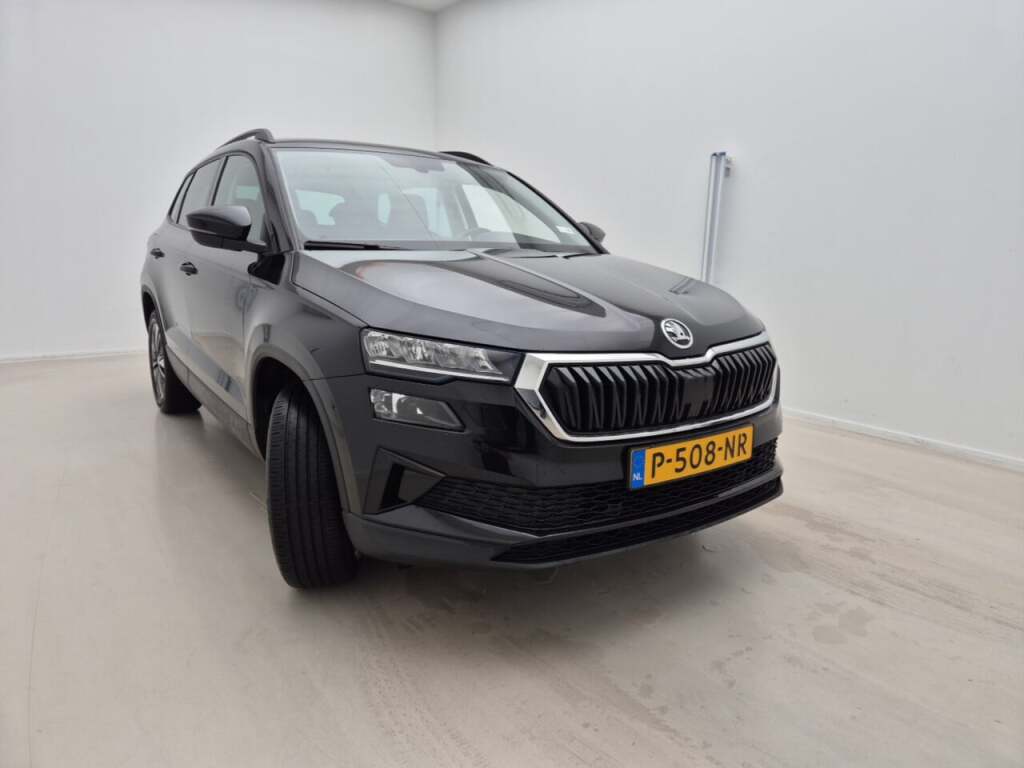 Skoda Karoq 1.0 TSI Business