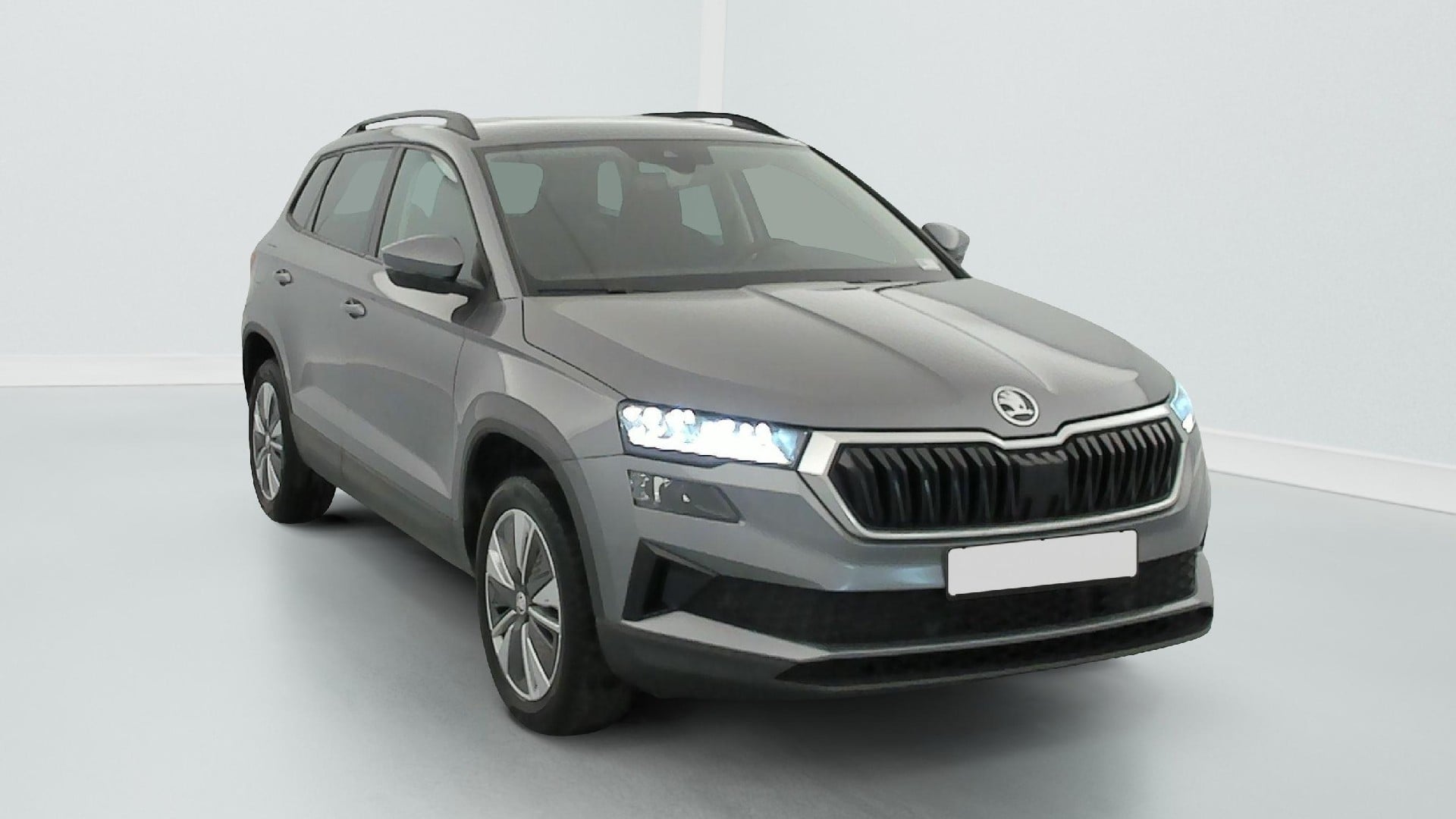 Skoda Karoq Business 2.0 TDI 116 ch SCR DSG7
