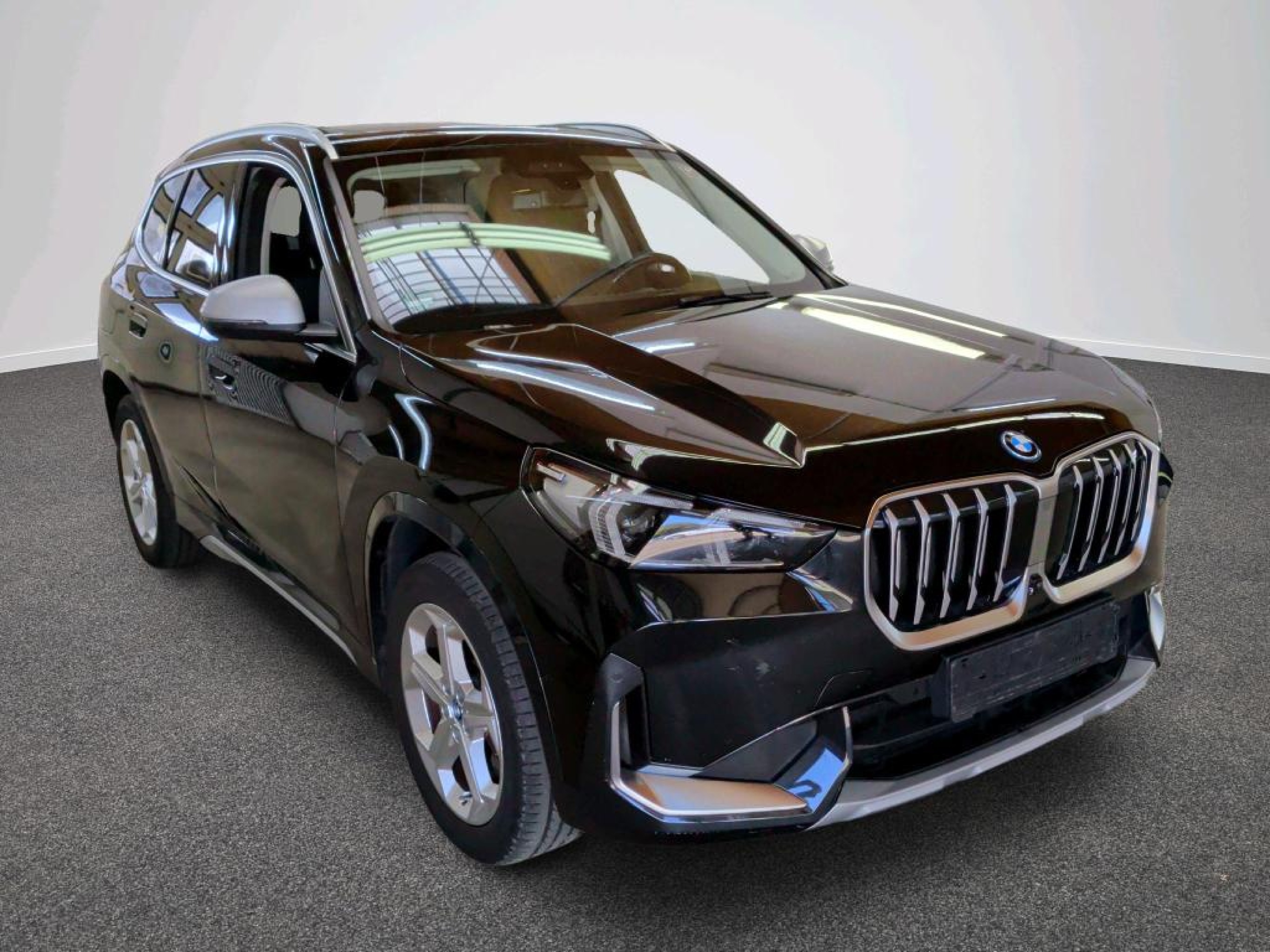 BMW X1 X Line