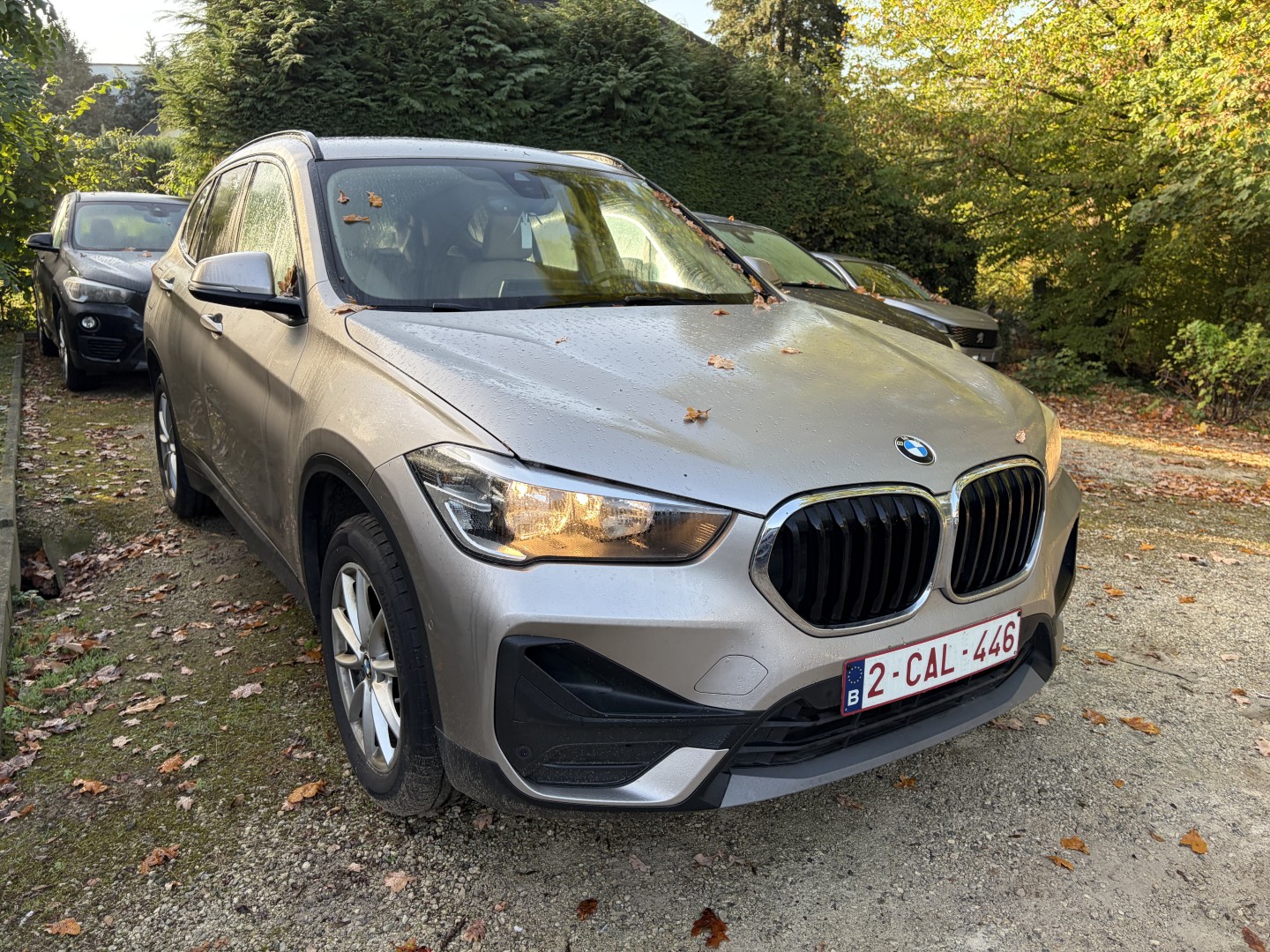 BMW X1 16d Business Design