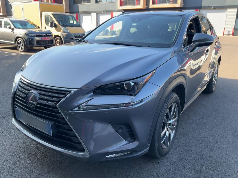 Lexus NX-Serie NX 300h E-Four Luxe