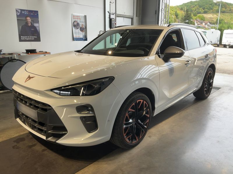Cupra Terramar 2.0 TSI VZ 4Drive