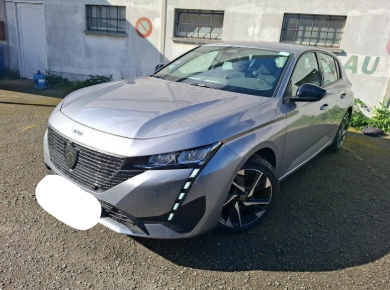 Peugeot 308 1.6 Hybrid Active Pack