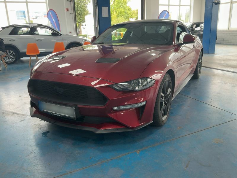 Ford Mustang 2.3 EcoBoost Basis
