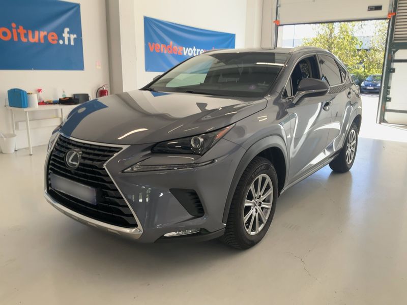 Lexus NX-Serie NX 300h E-Four Pack Business