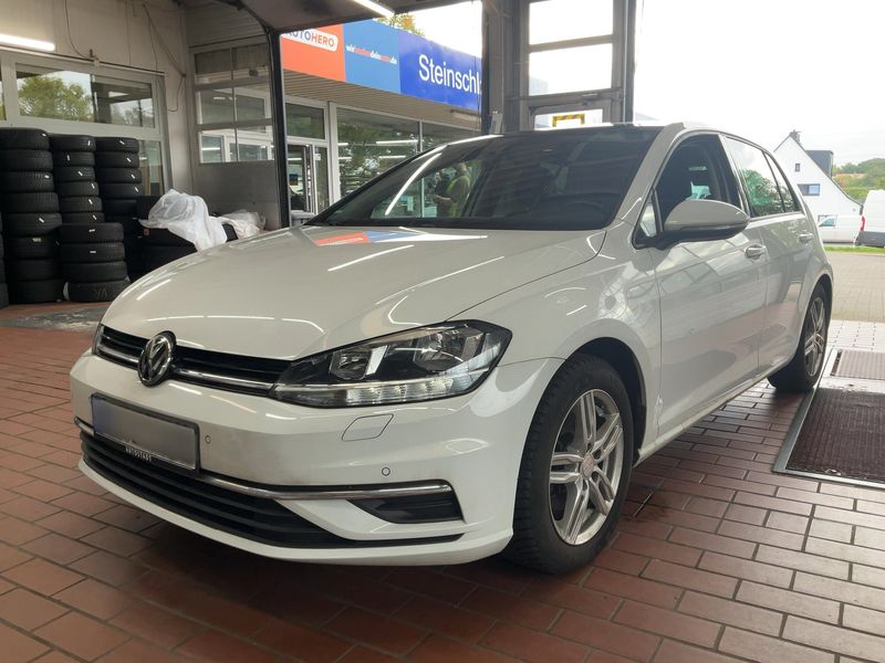 Volkswagen Golf VII 1.6 TDI Comfortline BlueMotion Tech