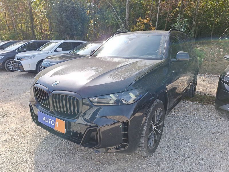 BMW X5 xDrive 30d Mild-Hybrid M Sport