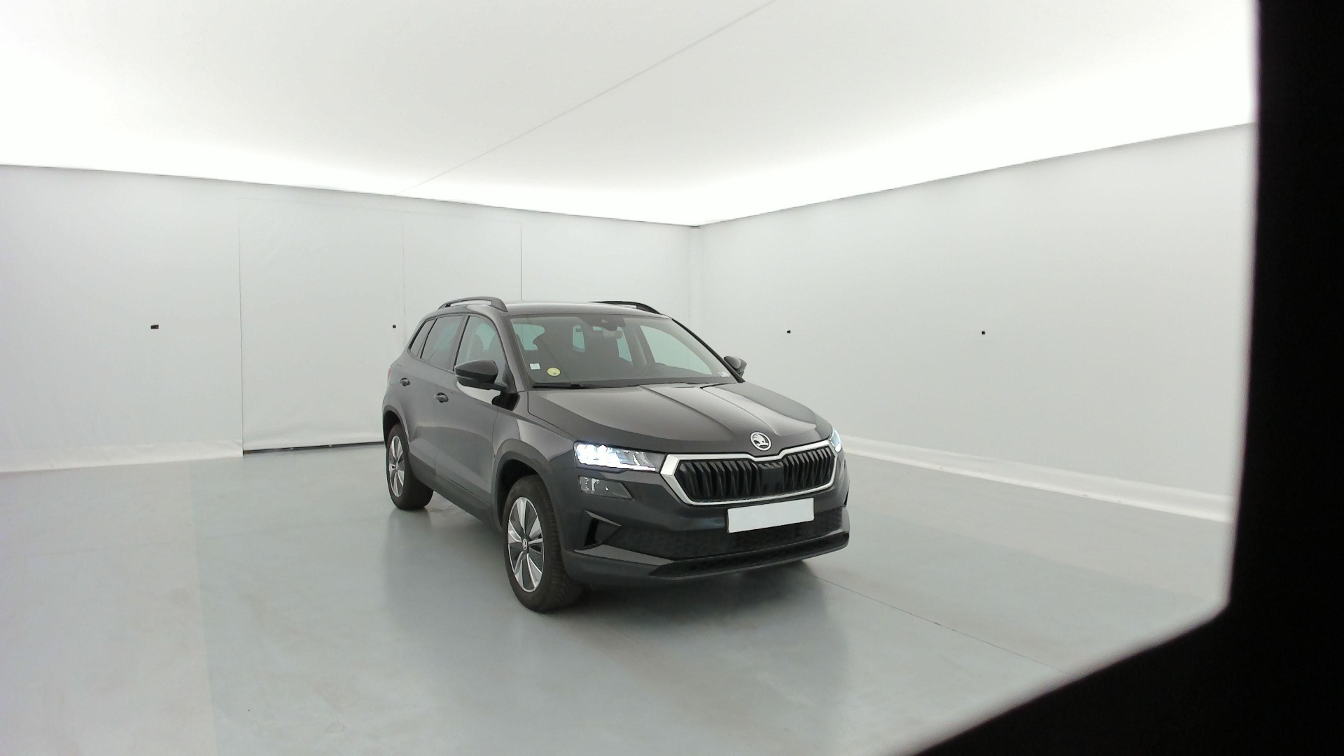 Skoda Karoq Business 2.0 TDI 116 ch SCR DSG7