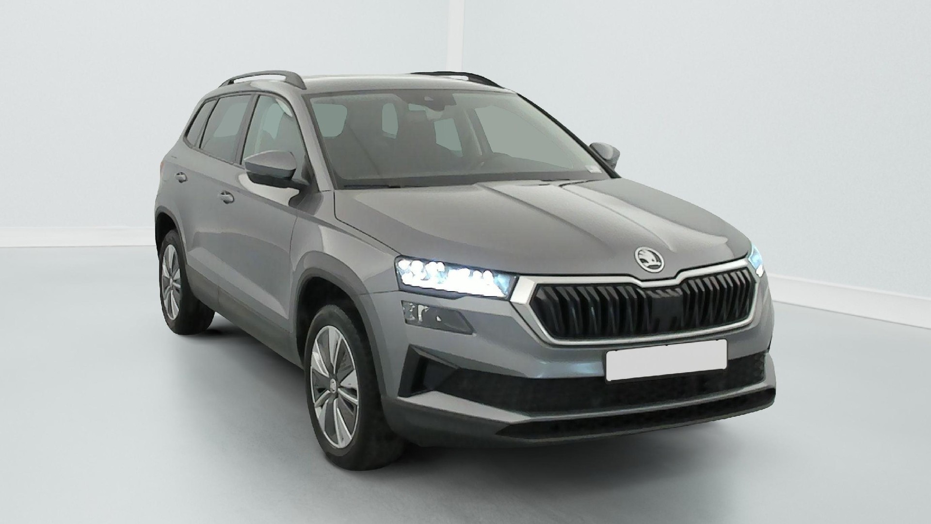 Skoda Karoq Business 2.0 TDI 116 ch SCR DSG7