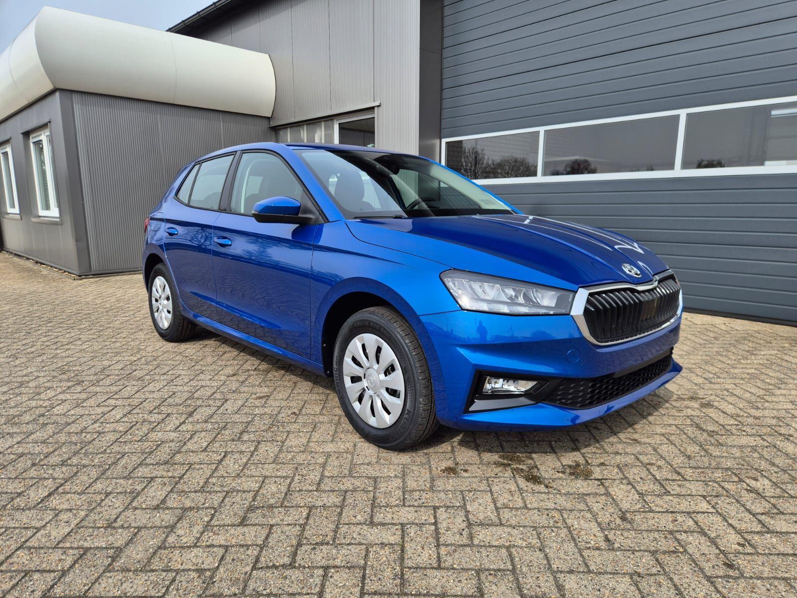 Skoda Fabia 1.0 Selection  - Petrol - Manual - 96 hp - 50 km
