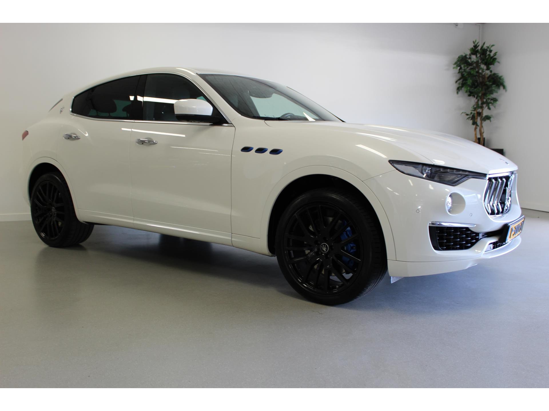 Maserati Levante 2.0 Executive - Hybrid - Automatic - 0 hp - 55.533 km