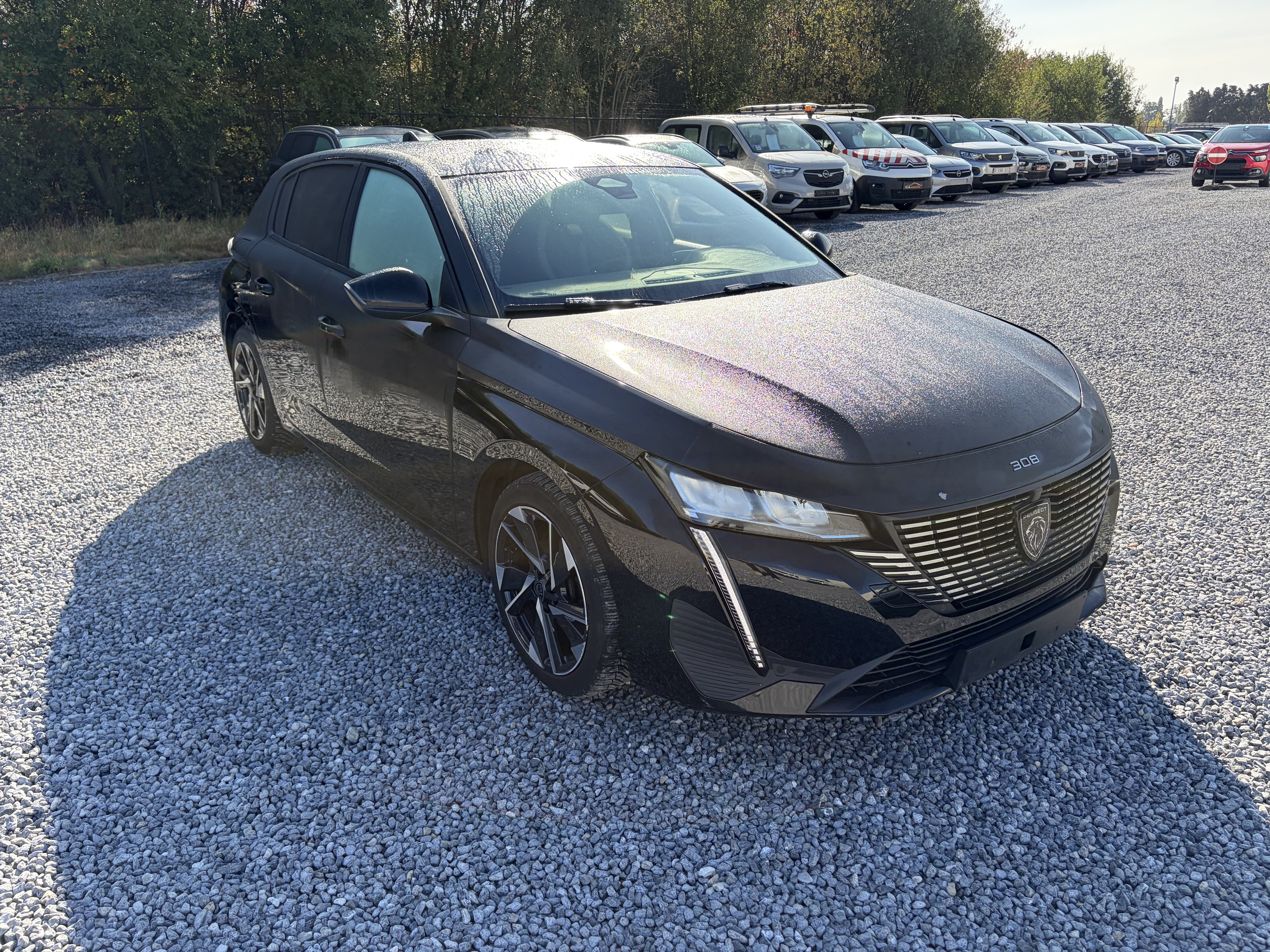 Peugeot 308 1.5 HDI Allure Pack - Diesel - Manual - 131 hp - 120.013 km