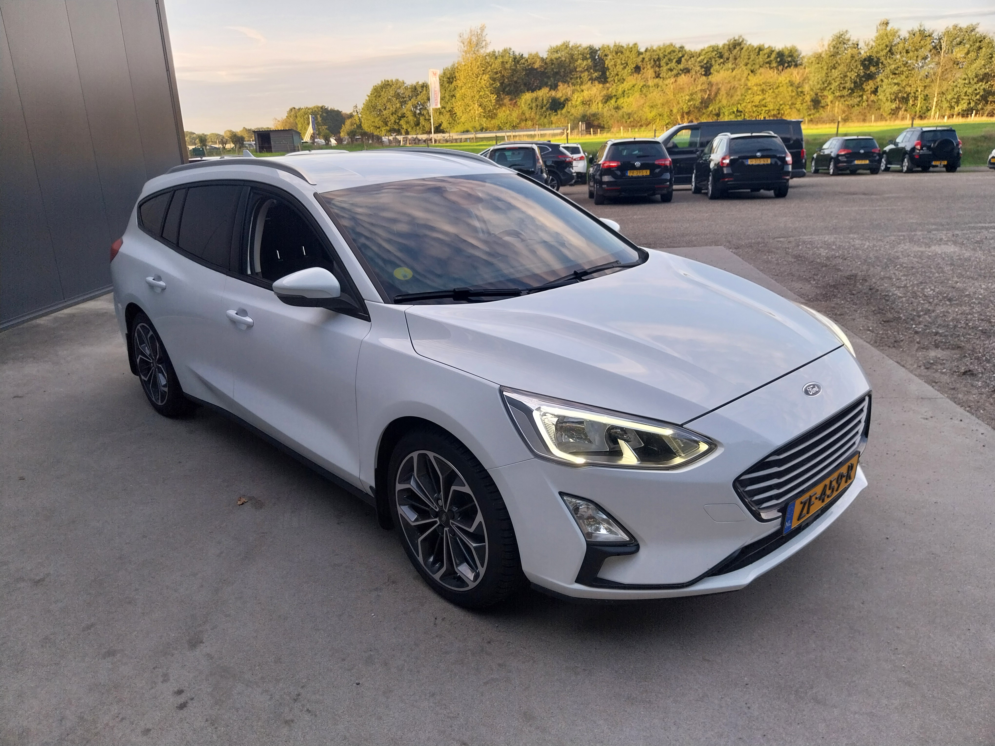 Ford Focus 1.5 EcoBlue Trend