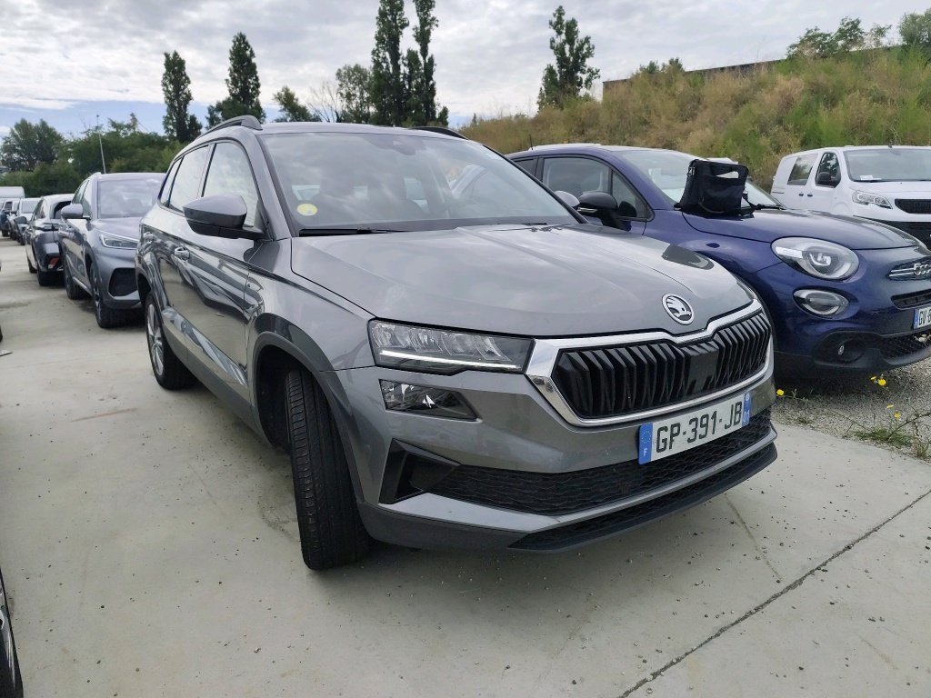Skoda Karoq 2.0 TDI Business